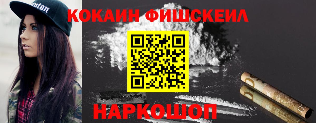 Кокаин Fish Scale  Вход с VPN  Славгород 