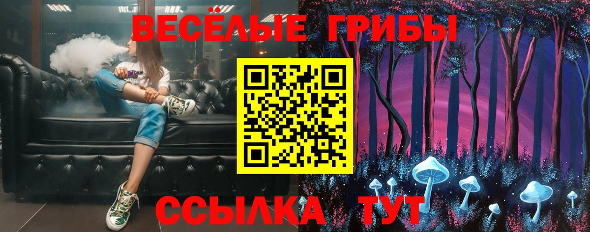 Псилоцибиновые грибы Magic Shrooms  Галлюциногенные грибы Cubensis  где найти   Славгород  Вход с VPN 